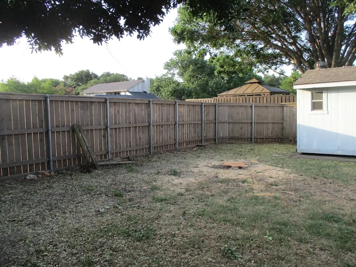 Cleared yard after professional tree removal in Jasper
